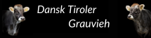 Dansk Tiroler Grauvieh logo